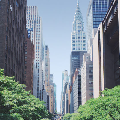 The Best Experiences To Do In Your City - LocalListing X Webflow Template