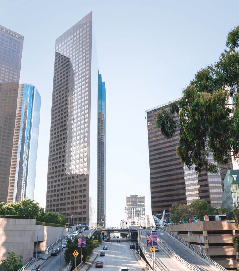 About Directory - LocalListing X Webflow Template